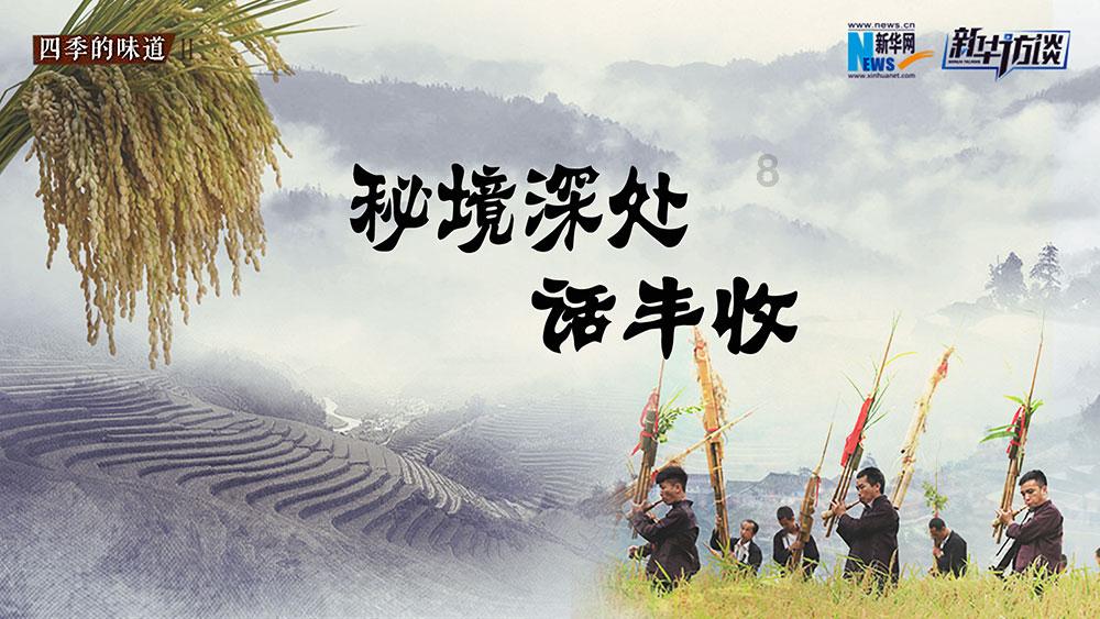 无忧国际wy6999